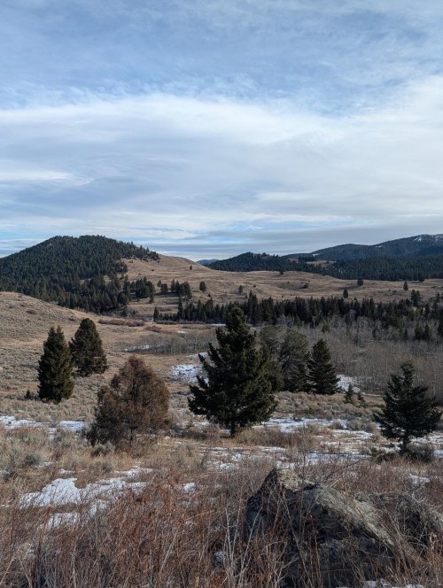 Upper Spanish Creek Feb 4th.jpg Upper Spanish Creek Feb 4th.jpg