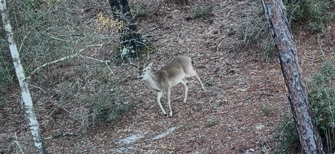 View recent photos.png