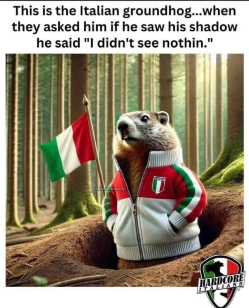 1770407333775.png