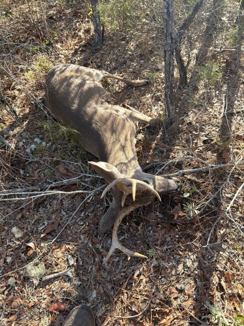 79210293470__11A172A4-96C8-4C8F-8294-EFBF0823DCE8.jpeg