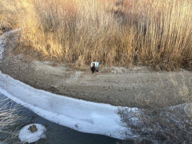 IMG_5271.jpeg IMG_5271.jpeg