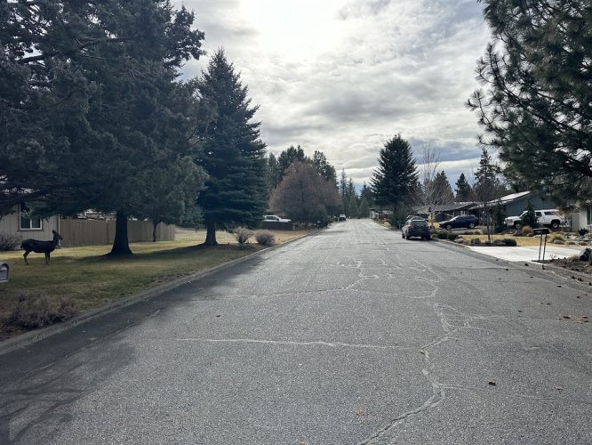 IMG_1846 (Medium).JPG