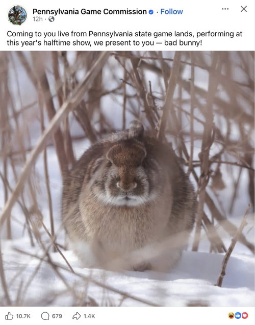 Screenshot 2026-02-08 at 8.31.25 PM.jpeg