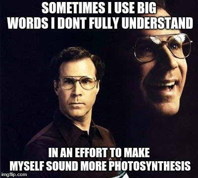 IMG_3429.jpeg
