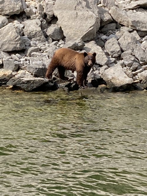 IMG_2385.jpeg IMG_2385.jpeg