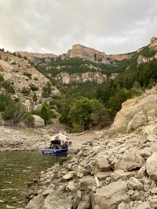 IMG_2376.jpeg IMG_2376.jpeg