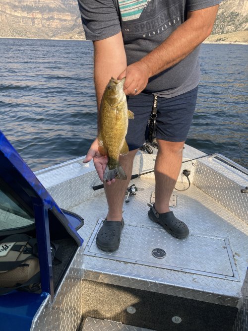 IMG_2367.jpeg IMG_2367.jpeg