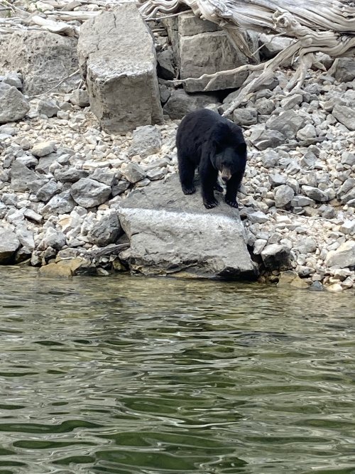 IMG_2358.jpeg IMG_2358.jpeg