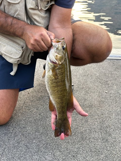 20240913_131644_322674.jpeg 20240913_131644_322674.jpeg