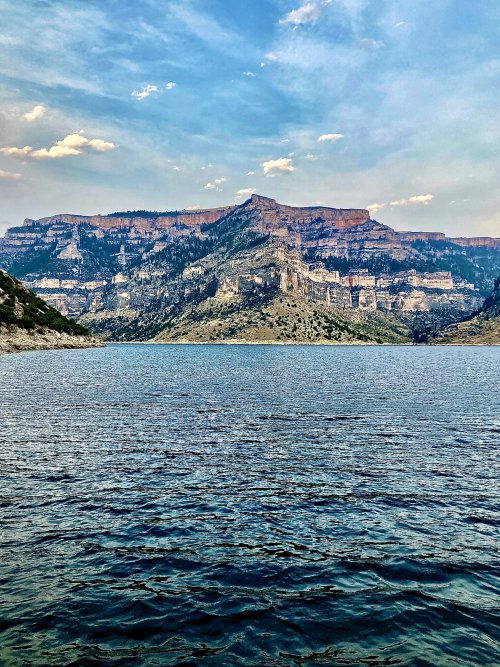 IMG_2369.jpeg IMG_2369.jpeg