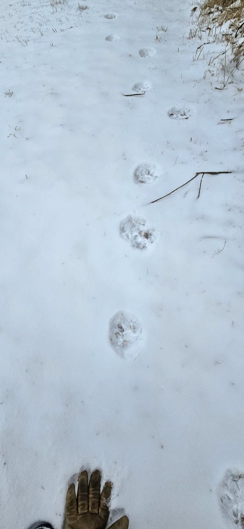 20260125_093309 copy.jpg 20260125_093309 copy.jpg