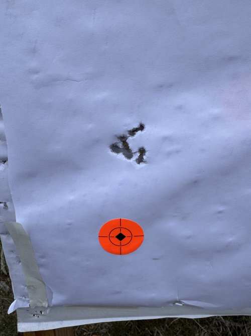1771217905408.jpeg 1771217905408.jpeg