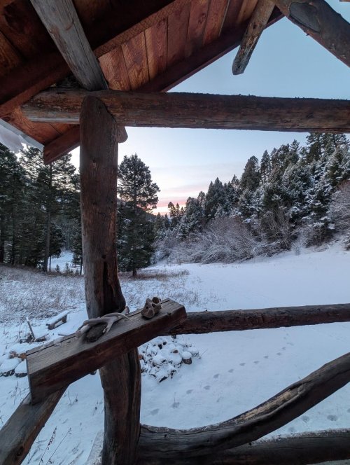 midnight prowler.jpg