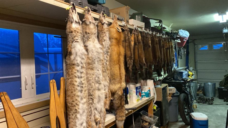 fur shed.jpg