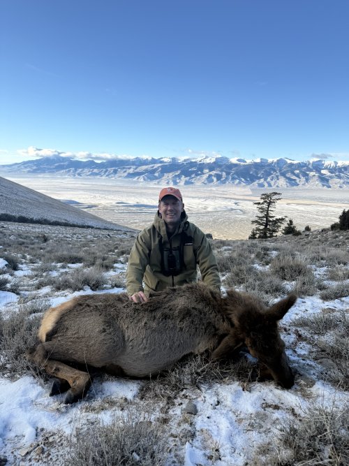 IMG_2113.jpeg IMG_2113.jpeg