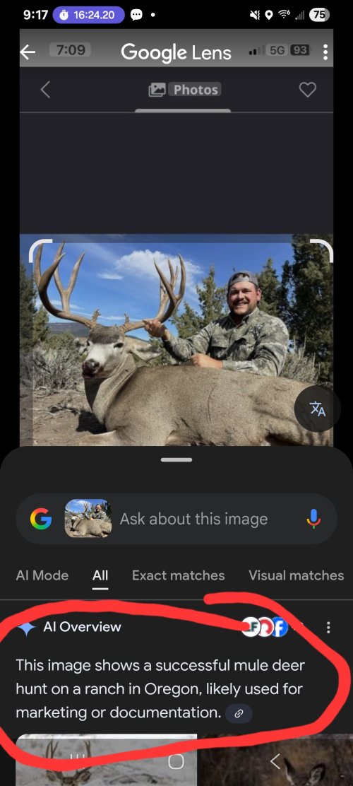 Screenshot_20260216_211729_Google.jpg