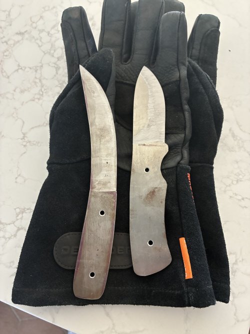 IMG_3703.jpeg IMG_3703.jpeg