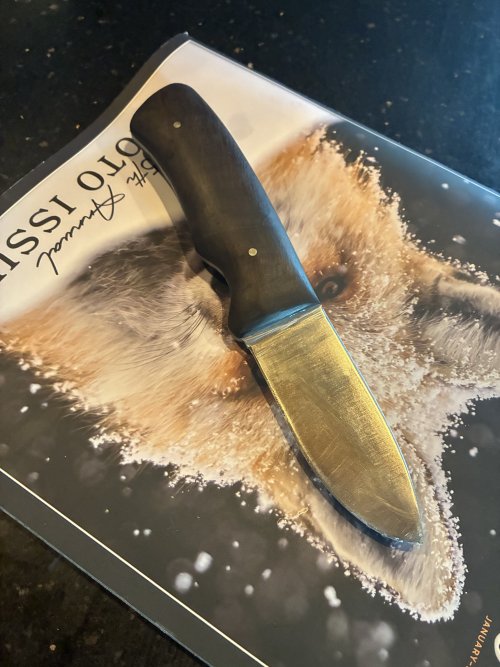 IMG_3827.jpeg IMG_3827.jpeg