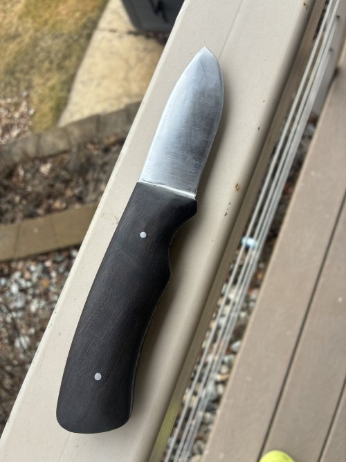 IMG_3831.jpeg IMG_3831.jpeg