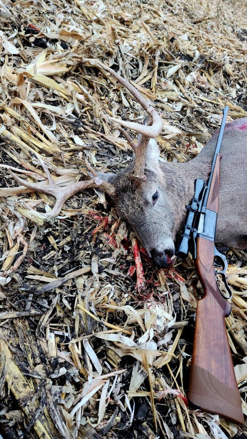 Snapchat-136182433_compress26.jpg Snapchat-136182433_compress26.jpg