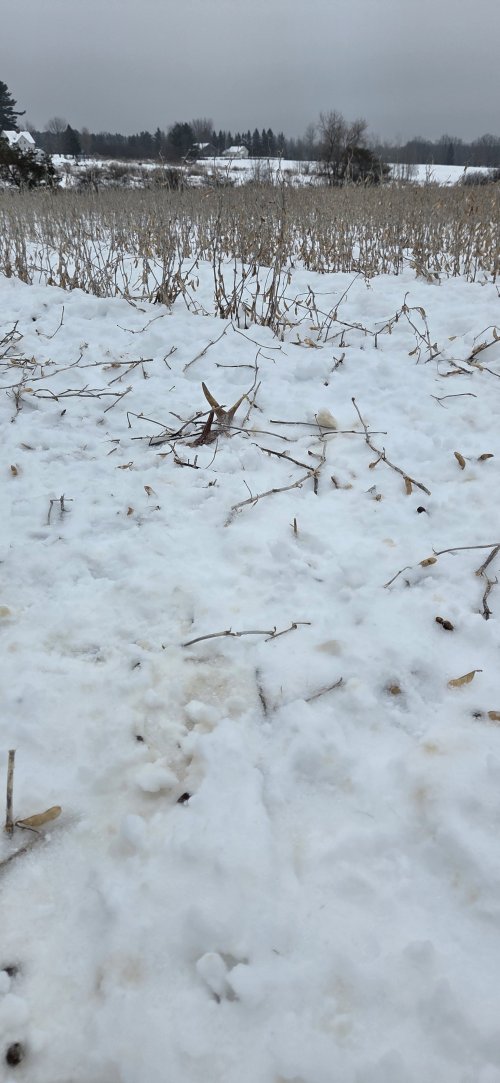 20260105_122535.jpg