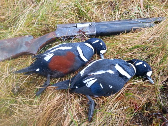 20181203_111150.jpg 20181203_111150.jpg