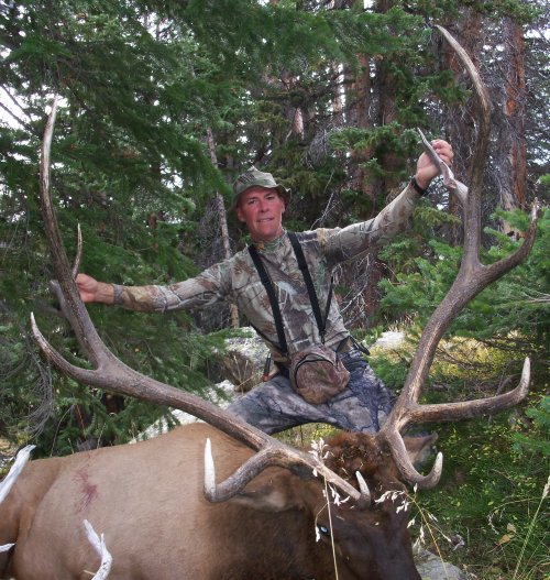 one of my best wyoming bulls.jpg