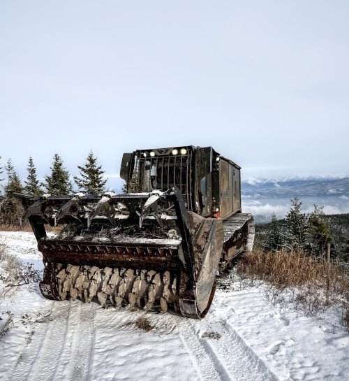 IMG_6895.jpeg IMG_6895.jpeg