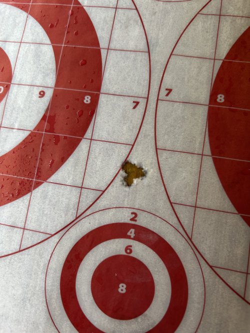 IMG_4513.jpeg IMG_4513.jpeg