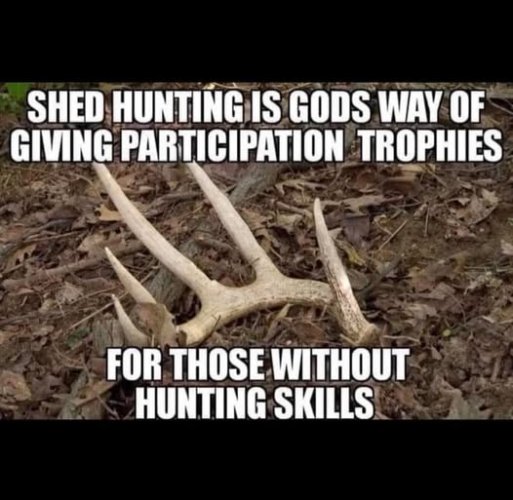 sheds.jpg