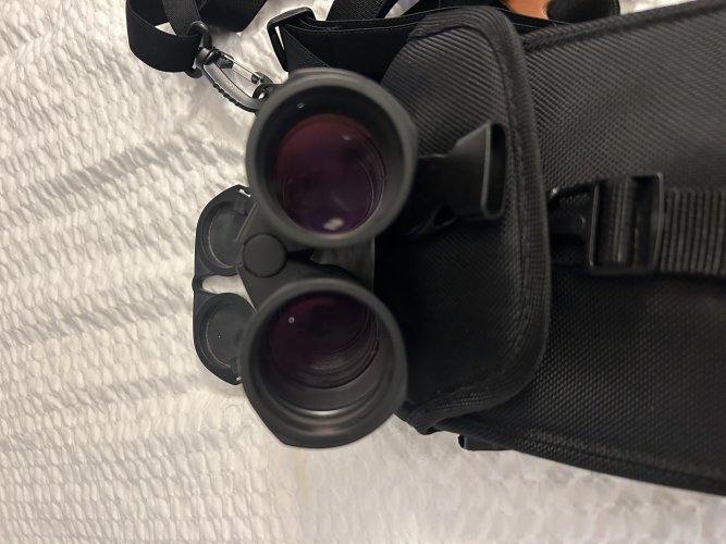 IMG_2185.jpeg IMG_2185.jpeg