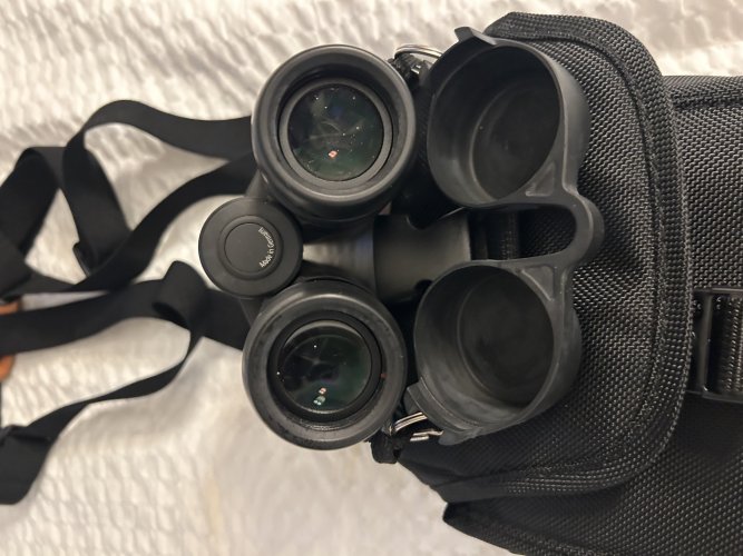 IMG_2186.jpeg IMG_2186.jpeg