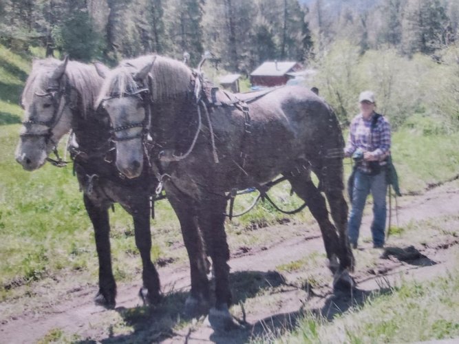 Andi and Paul Zitzer horse logging up Horse Creek.jpg Andi and Paul Zitzer horse logging up Horse Creek.jpg