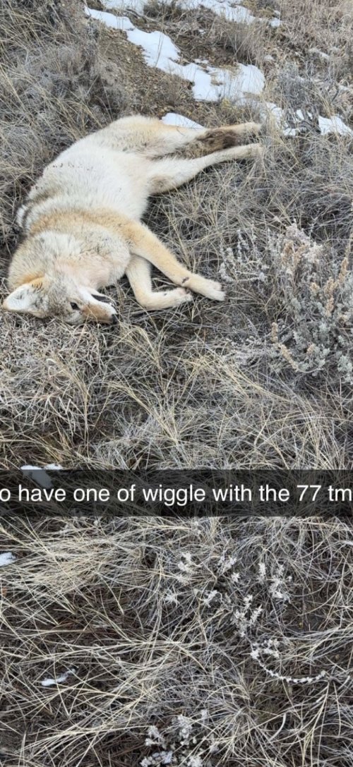 IMG_6775.jpeg IMG_6775.jpeg