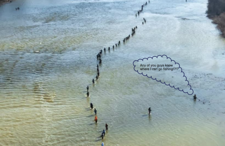 1771936104048.png