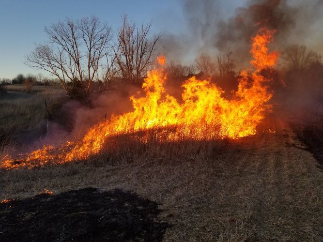 20260220_180857.jpg 20260220_180857.jpg