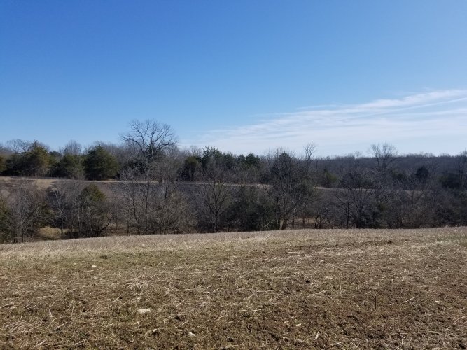 20260221_121629.jpg 20260221_121629.jpg