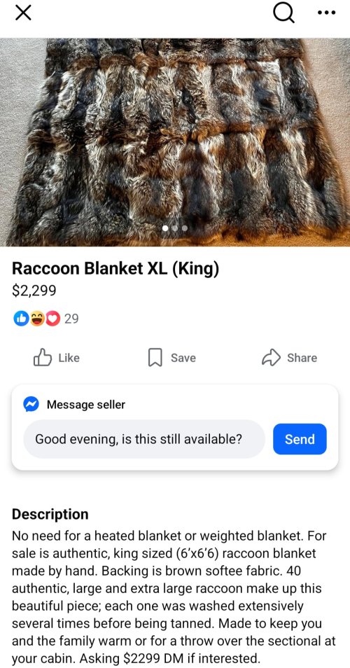 Screenshot_20260224_200218_Facebook.jpg