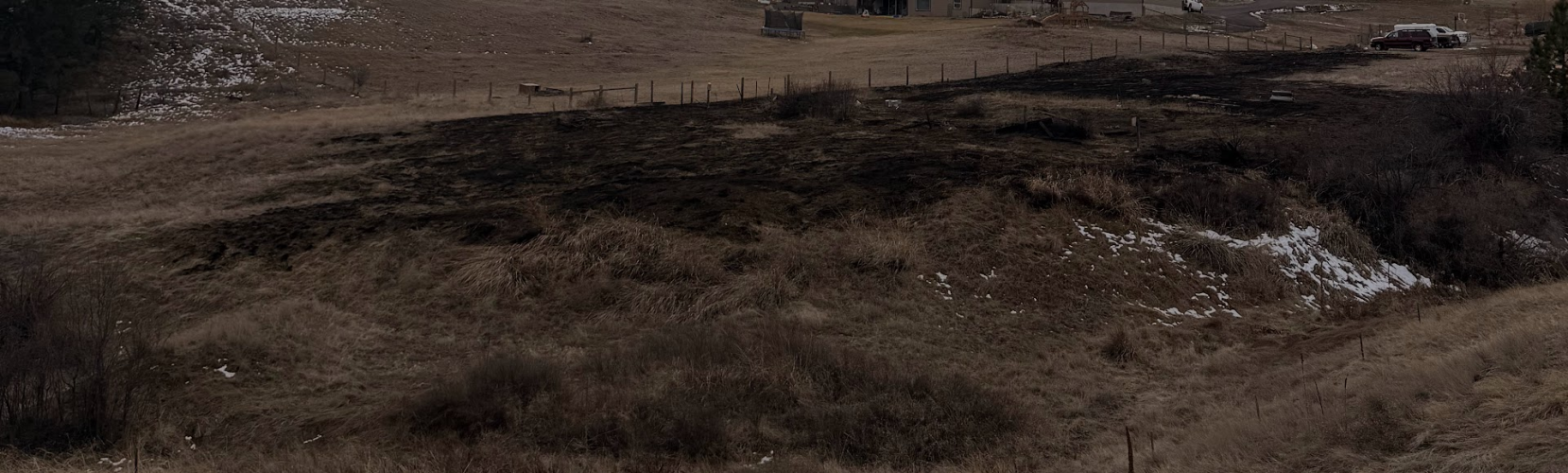 1772031098752.png 1772031098752.png