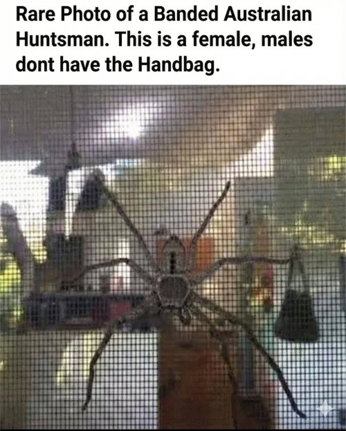 IMG_5016.jpeg