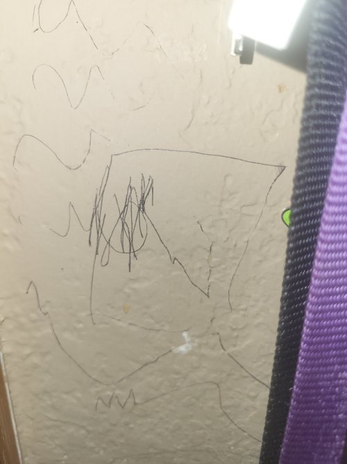 20260226_193708.jpg 20260226_193708.jpg