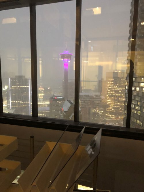 office view.jpg