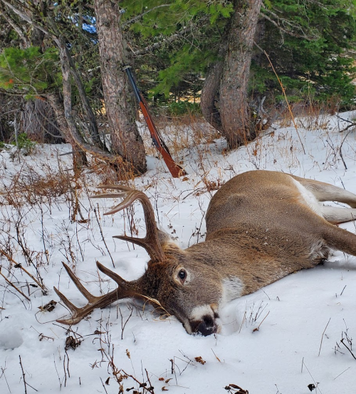 1772241671774.png 1772241671774.png