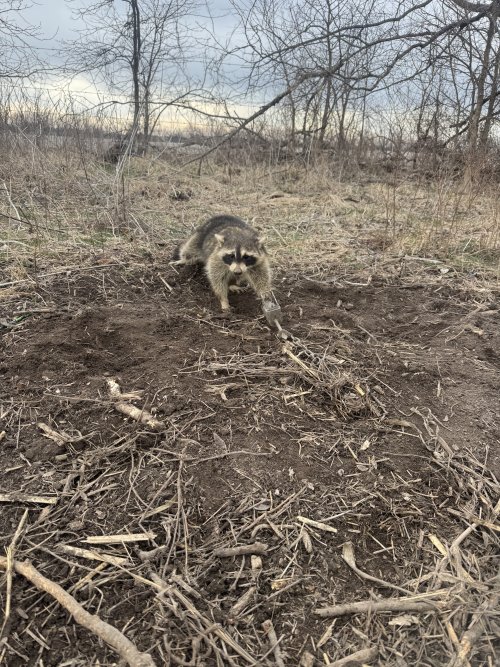 IMG_3058.jpeg IMG_3058.jpeg