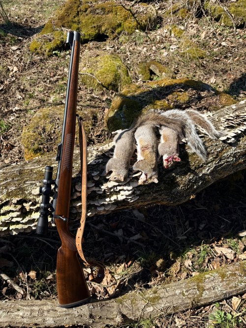 IMG_6730.jpeg IMG_6730.jpeg