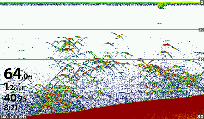 Paulina.PNG Paulina.PNG