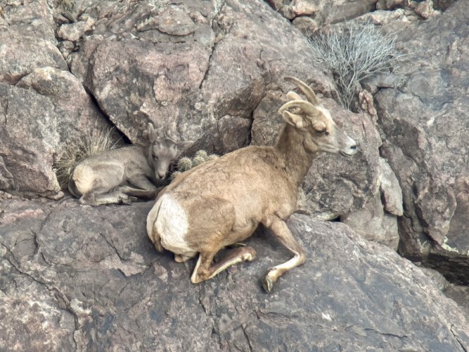 untitled (1 of 1).jpg