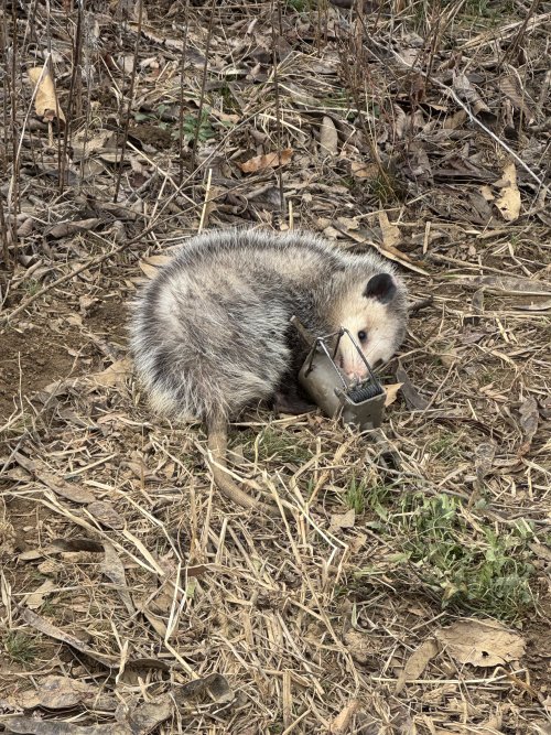 IMG_3100.jpeg IMG_3100.jpeg