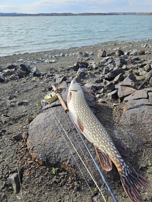 20250517_084938.jpg 20250517_084938.jpg