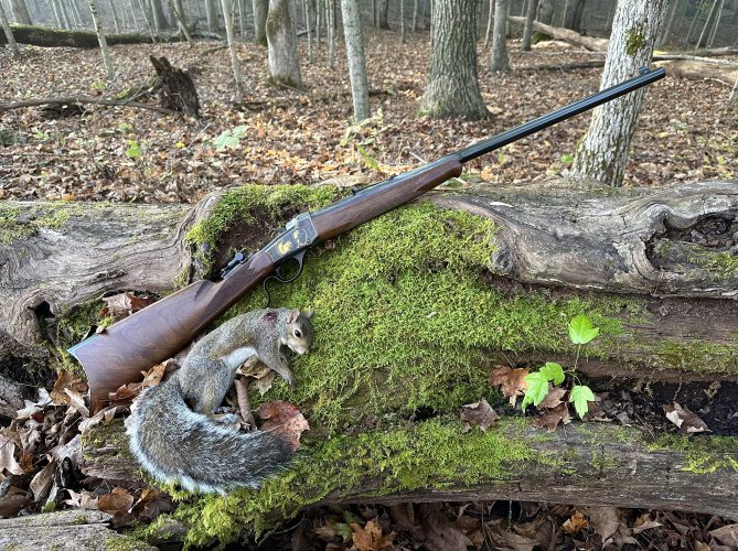 IMG_7920.jpeg IMG_7920.jpeg